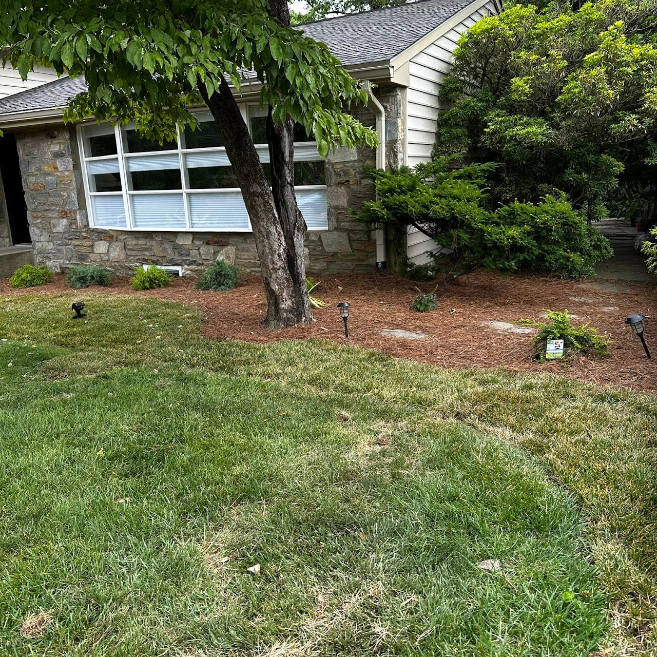sagewoodlandscape gallery 28