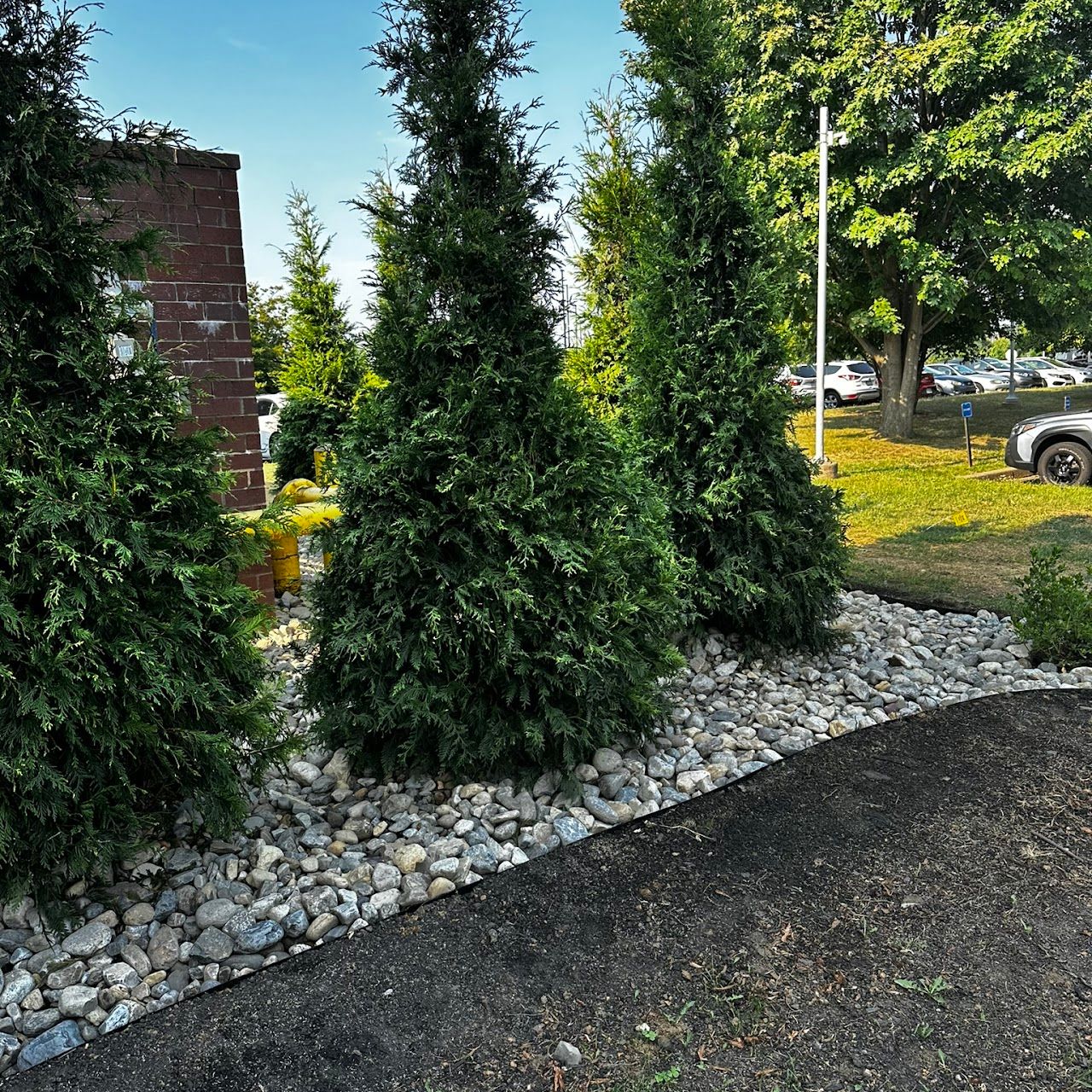 sagewoodlandscape gallery 30